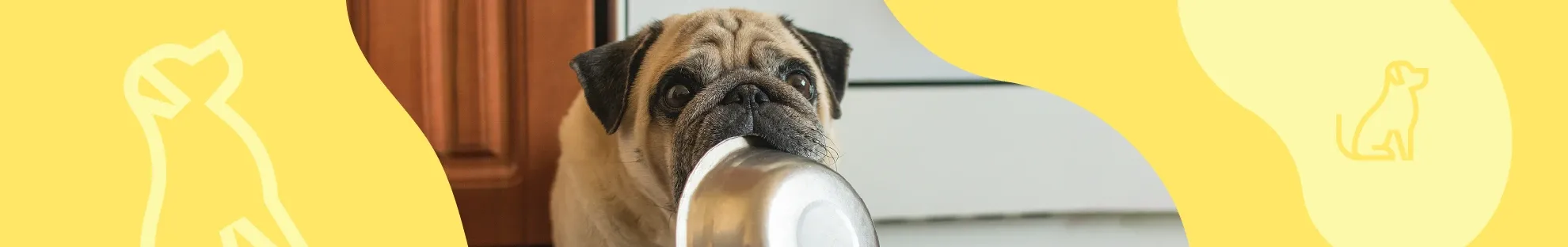 Köpeğiniz Ne Yememeli?