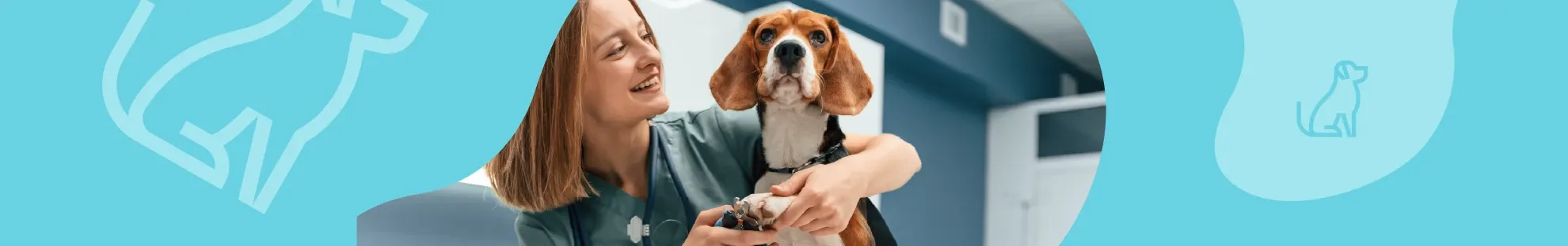 Köpeğinizin Tırnak Bakımı