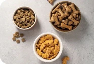 Köpeğinizde Tüy Dökümü Kontrolü