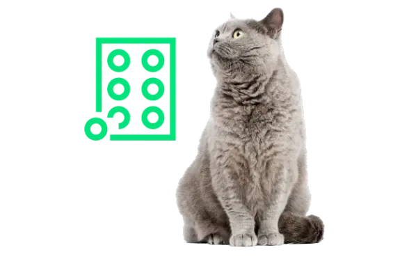 Kedilerde Böbrek Hastalığı Tedavi Edilebilir mi?