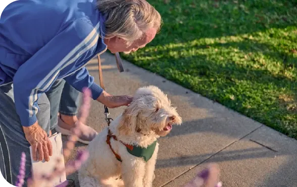Köpeklerde Bağırsak Parazitleri: Tedavi ve Korunma Yöntemleri