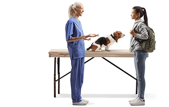 Köpeklerde Kalp Hastalığı Tanısı Nasıl Koyulur? Test ve Tedavi Seçenekleri