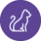 Kedi İkon