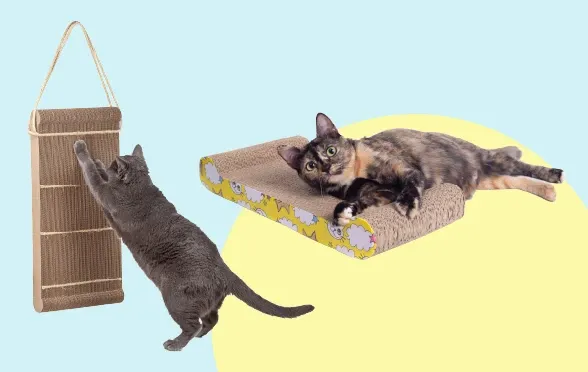 Kediniz Neden Tırmalar?